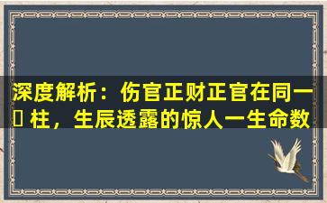深度解析：伤官正财正官在同一 ☘ 柱，生辰透露的惊人一生命数！